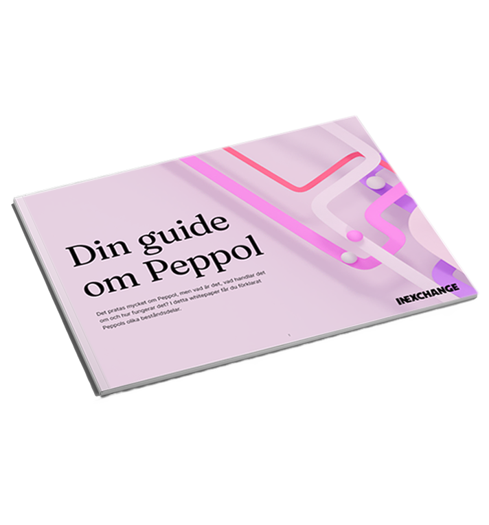PeppolGuide2