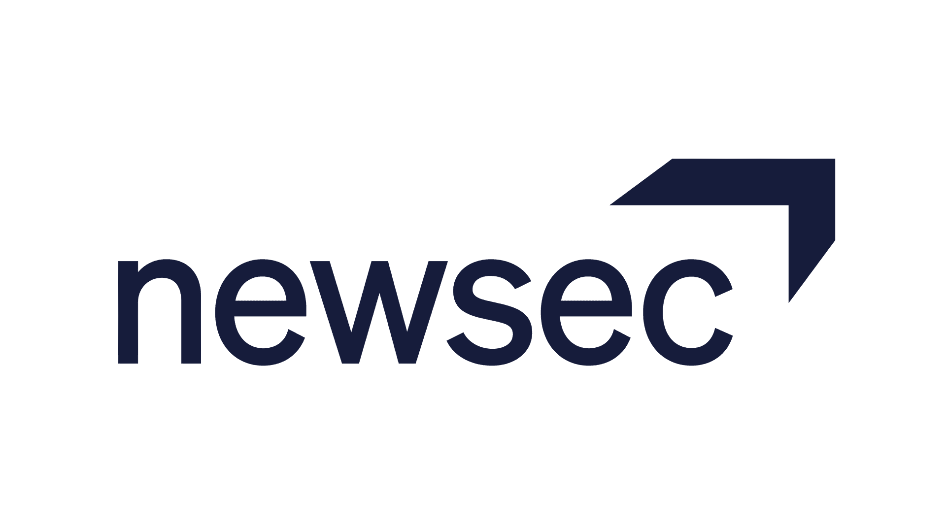 large-Newsec_Logo3_Rityta 1 (1)